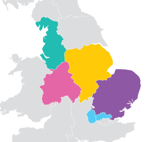 Map of parts of England with coloured regions: yellow, purple, pink, teal, and light blue. Each colour represents a different area, with surrounding regions in light grey.